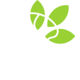 Clean Energy Access Target